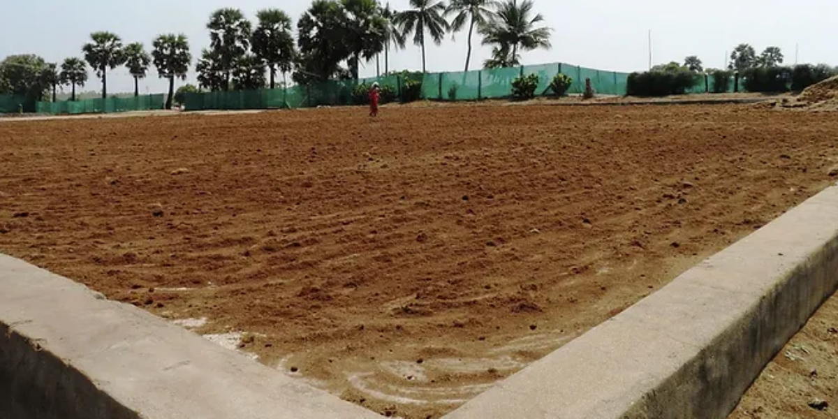 06 – Drying of Pith – Boss Coirs